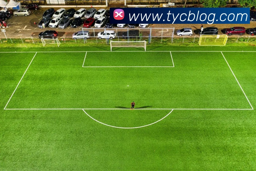 太阳城网站服务体系