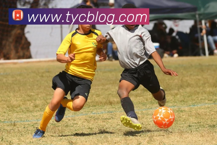 太阳城网站APP 体育赛事宣传图